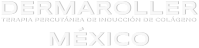 DERMAROLLER TERAPIA PERCUTÁNEA DE INDUCCIÓN DE COLÁGENO   MÉXICO